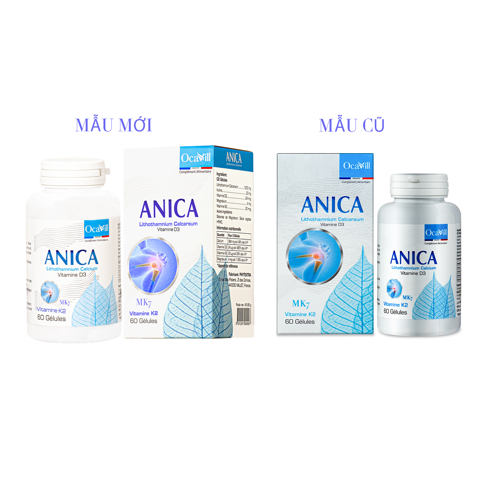 Thực phẩm bảo vệ sức khỏe ANICA