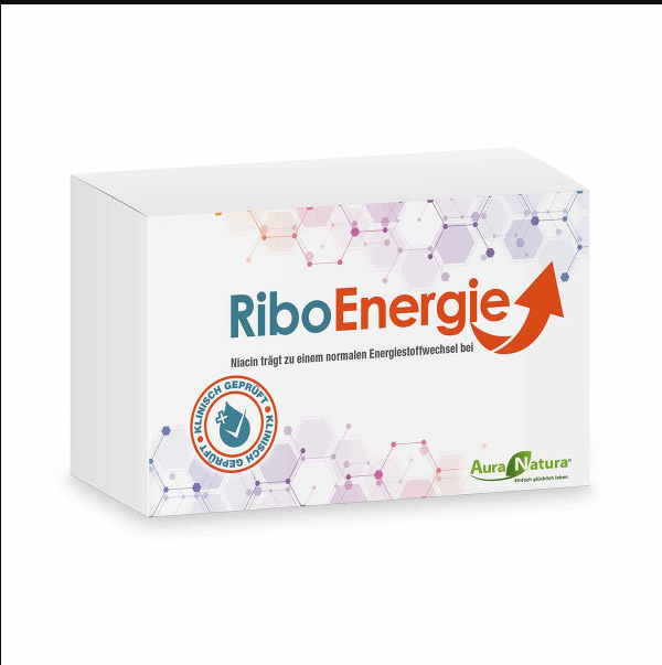 Ribo Energie